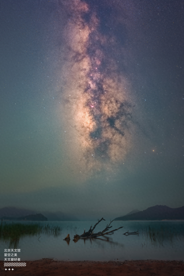 沉木观天瀑 | 图片来源及版权：造与影