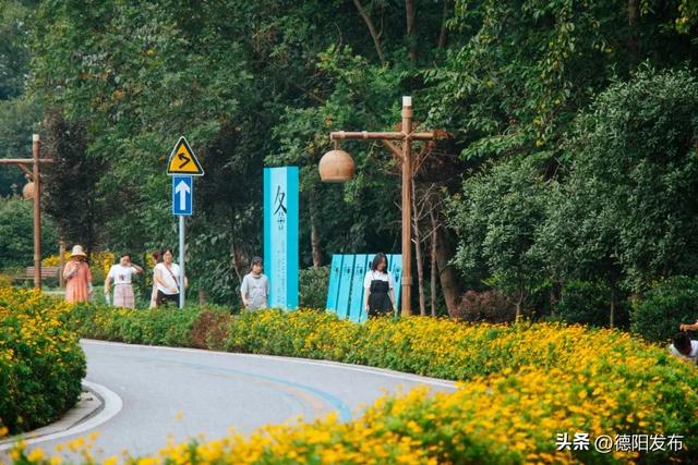 免费！德阳15分钟刹拢！穿竹林、摘果子、拍美片，小众悠闲~