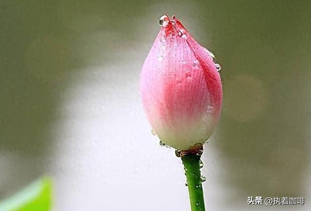 怕“脏”的人，多半没有出息