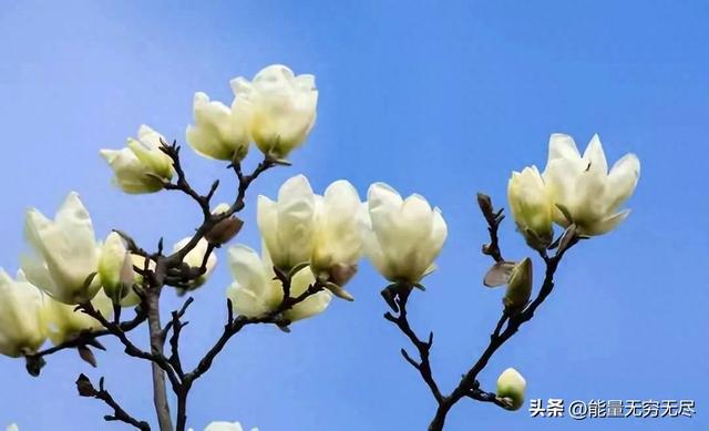 两性关系：除了生理性需求，其实女人最需要男人以下三样东西