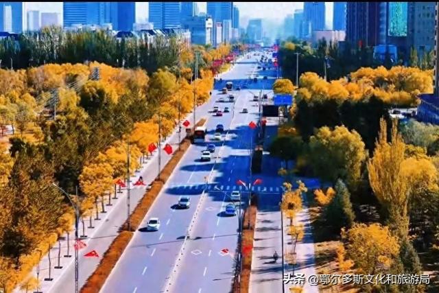 东胜区秋日私语——抓住金色的尾巴