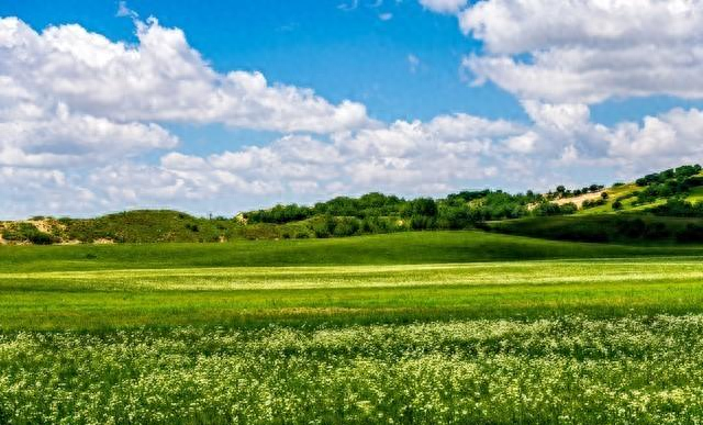 女人想“睡”你时，才邀请你做这3件事；别傻不知道