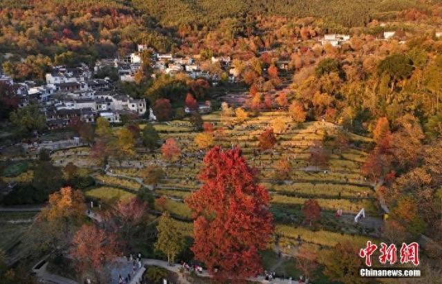 黟县打造长三角“秋冬季必打卡治愈目的地”