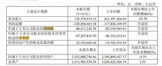 国芯科技上半年亏损进一步扩大，汽车芯片“难挽”业绩颓势