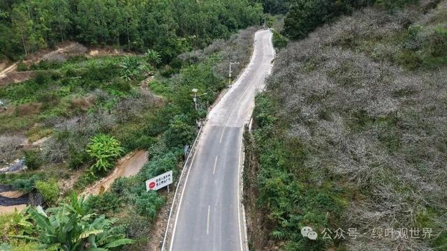 广东福建交界地带，马路界线分明，中间卡着一个鸟窝，属于哪里的
