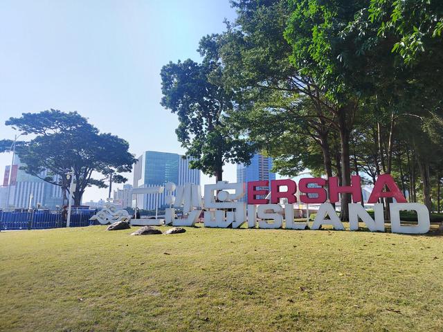 花城看花看灯饰