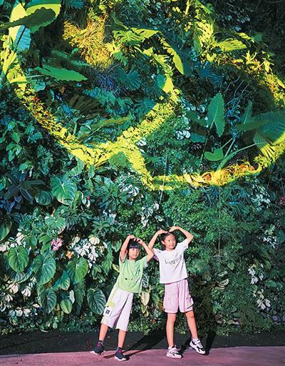 多彩文化点亮城市夜生活（文化中国行·深观察）