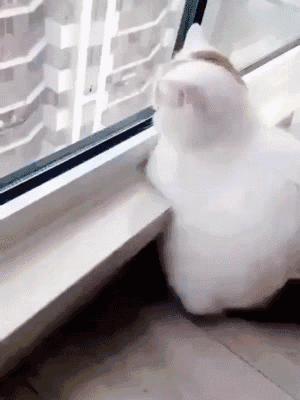 三国单机双人（20年老玩家才懂让80后玩家痴迷不已的玩法）