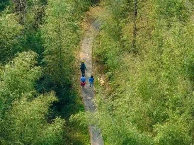 从化寻宝挖冬笋，摘砂糖橘任意吃，土窑烤披萨，DIY非遗竹节人！