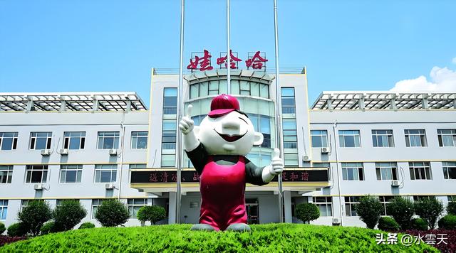 娃哈哈15年老员工说实话：宗馥莉走了，收入降了，我们盼国资接手