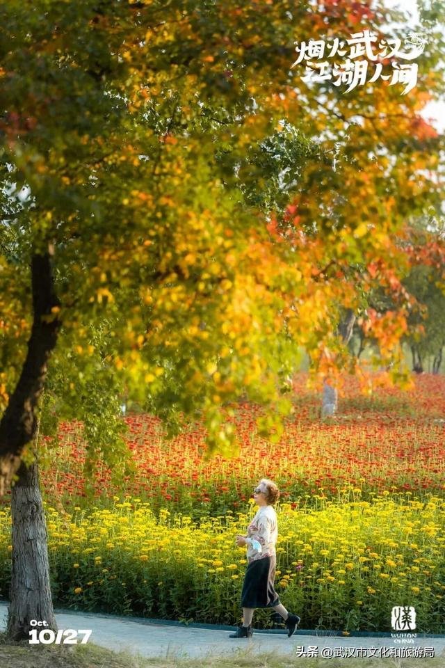 马上过节，免票！