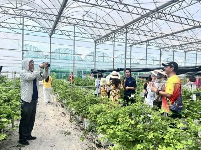 增城48小时奇遇记！