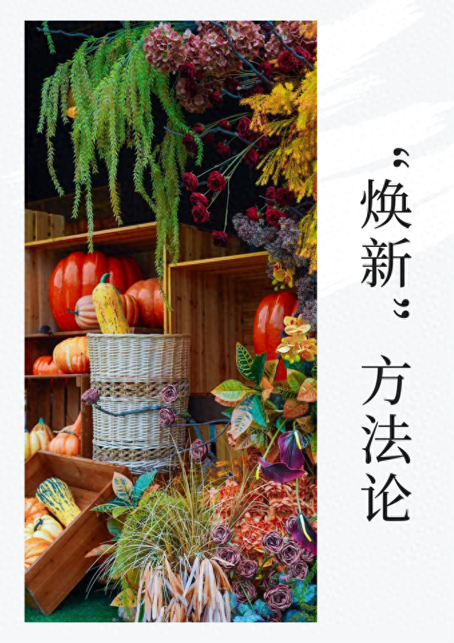 “不止于山水” 山东文旅“焕新”方法论激活景区新生命力