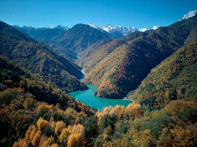 四川平武彩林红叶进入最佳观赏期  九绵高速催生“快旅慢游”新体验