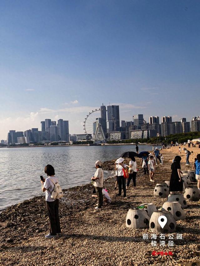 美丽深圳·每日一图｜2025年9月7日