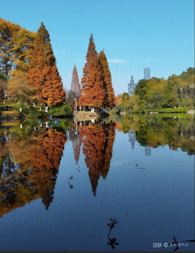 冬日暖阳下，打卡贵阳观山湖公园的绝美风景