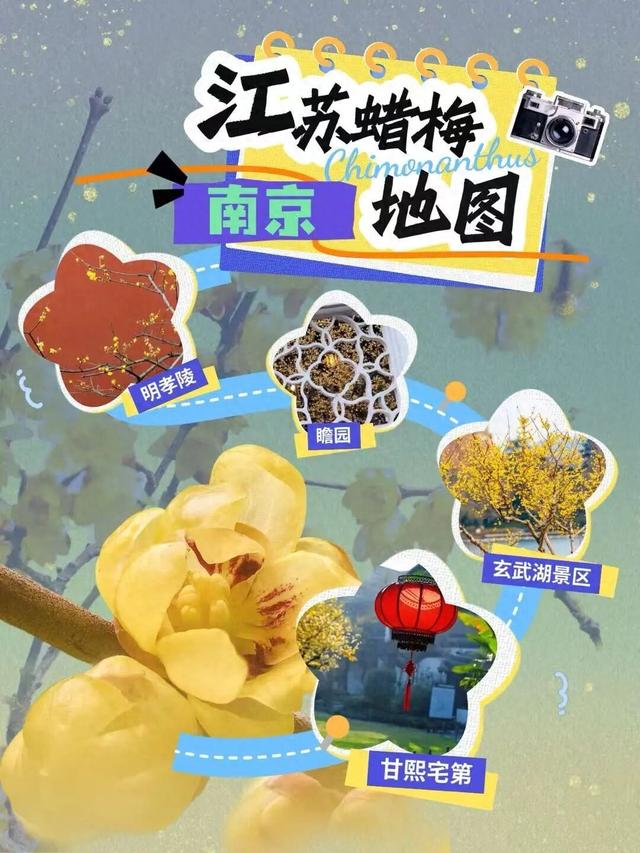 在江苏，我被香到了！