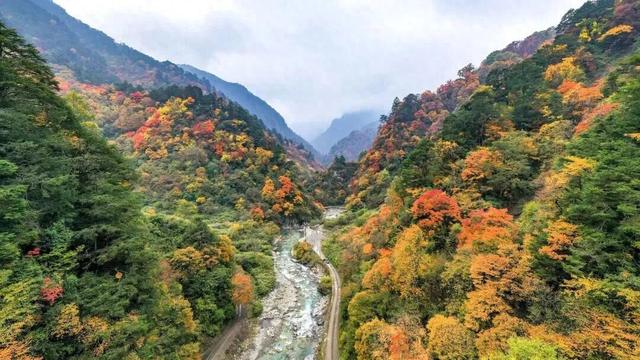 藏在秋日里的芦山漫游指南
