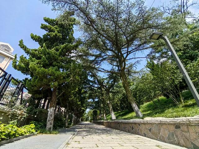高温过后，来青岛这个山头公园“出出暑”吧