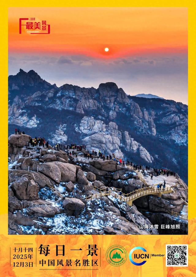每日一景 | 山海沐雪 巨峰旭照