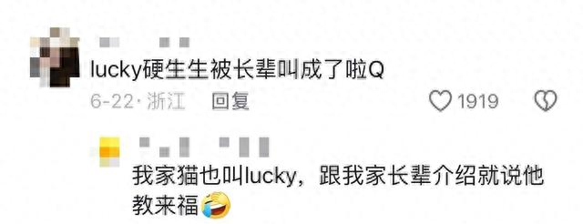 狗名字大全,狗名字有哪些（原来宠物在外都有别的名字啊养宠物的朋友们）