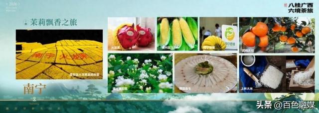 广西茶文旅新线发布！百色/崇左边关觅茶之旅等你赴约~