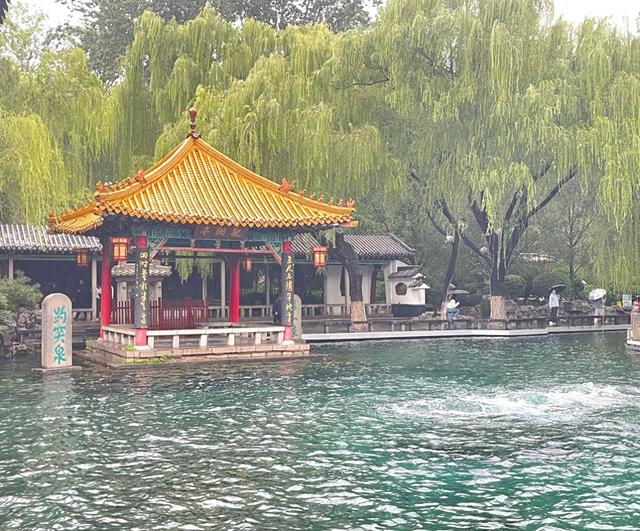 老友相伴赏清泉