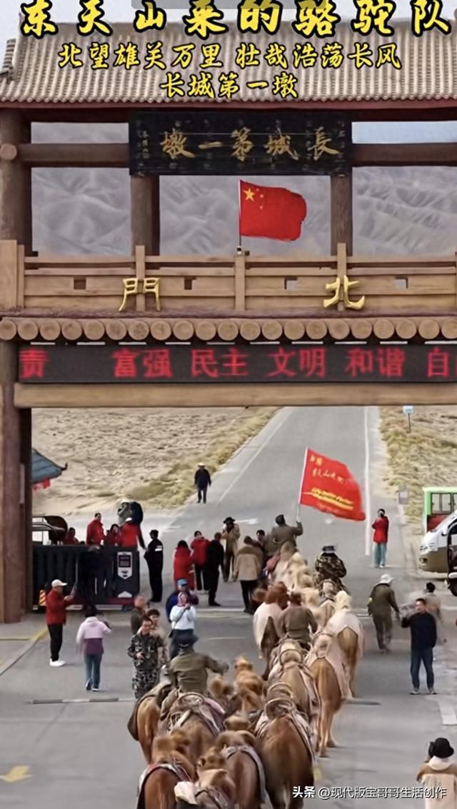 东天山来的骆驼队