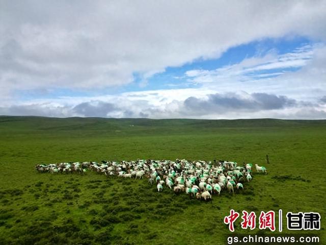 张掖肃南“夏日塔拉”光影如画