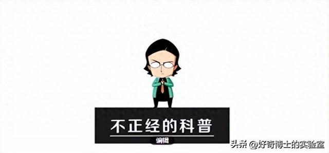 为什么忘记密码必须重置，不能告诉我旧密码接着用吗？