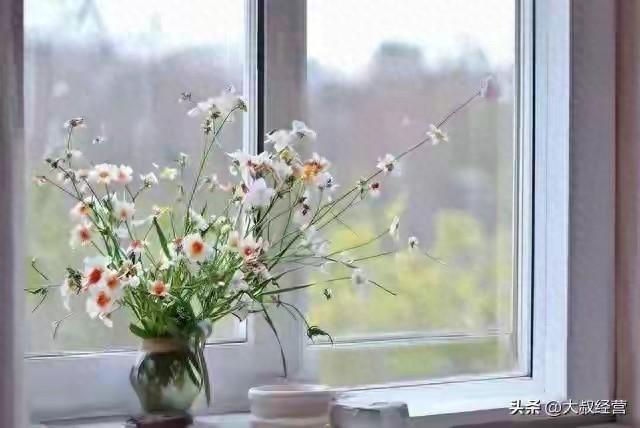 生肖猪的晚年，尤其是猪女，老一辈的话真的不会错！