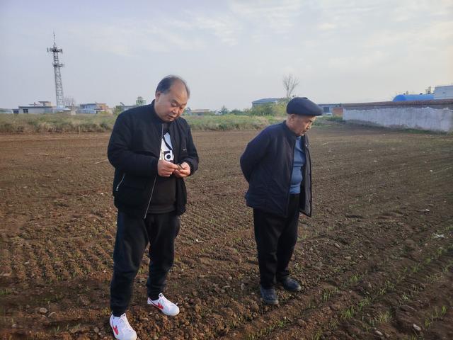 汝阳内埠镇与万里茶道的关联调研