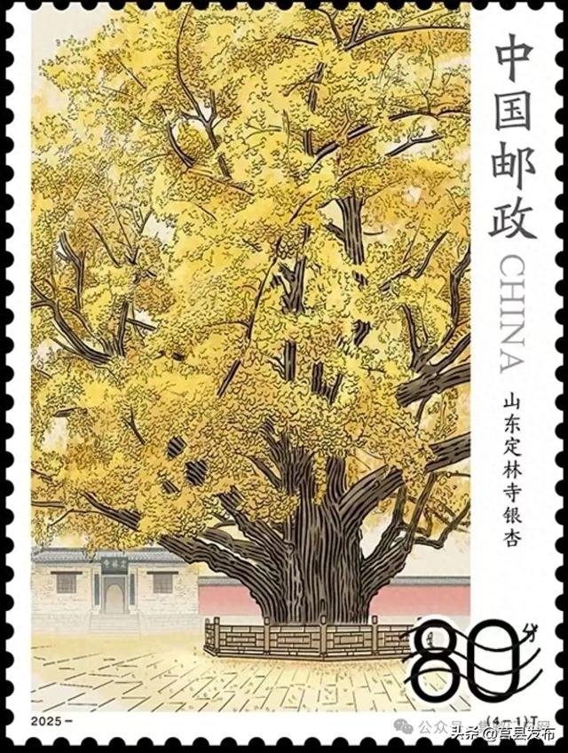 银杏登国邮！门票半价、非遗展演、趣味体验就在这，速来！