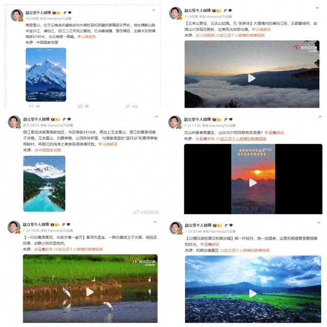 赵立坚在线“打Call”！夏日避暑云南赢麻了