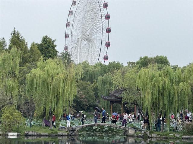 雨水挡不住热情！近3万名游客为武汉园博园十周年庆生！
