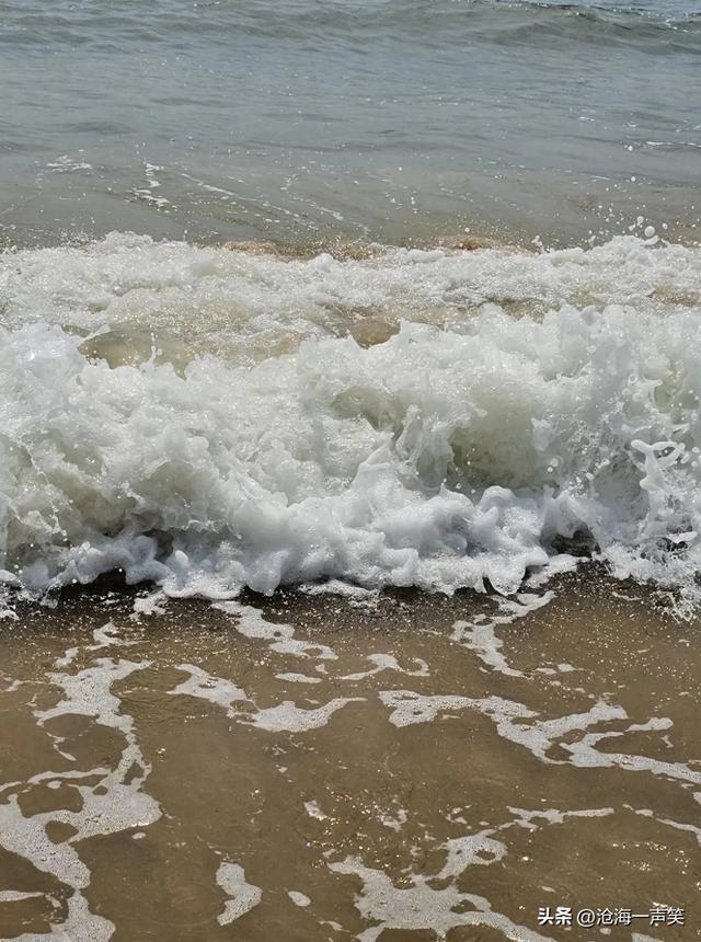 涛声依旧，海浪滚滚，向往大海就奔向大海，向往高山就赴向高山