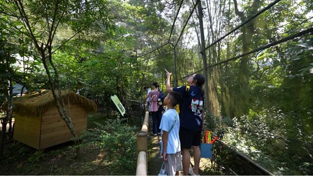 抓住暑期的尾巴！超多学子来到了鼎湖这里……