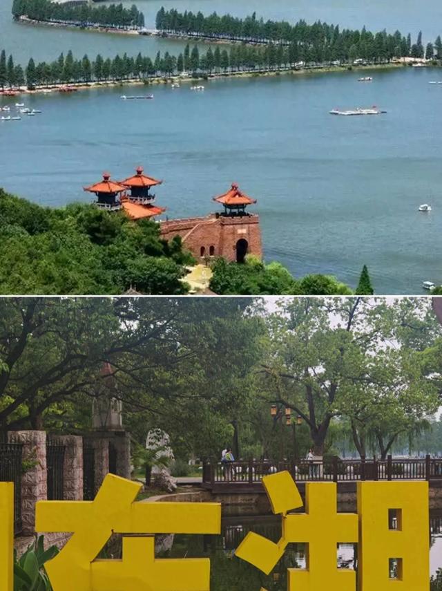 武汉东湖凉爽游玩路线｜避暑拍照两不误的绿意天堂