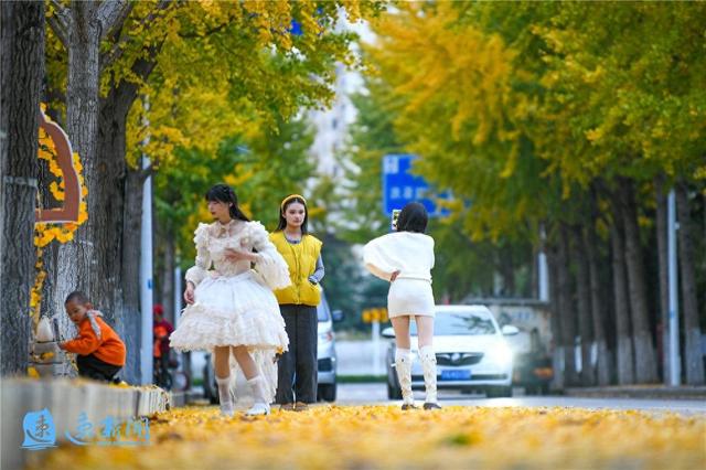 宿迁这条大道“美出圈”！满城尽带“黄金甲”，等你“杏”会