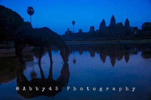 柬埔寨对中国免签啦！想去就去超方便，这份超实用旅游攻略快收好