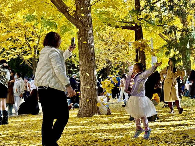 当商业与文化相遇，北京消费图景中的“美之道”