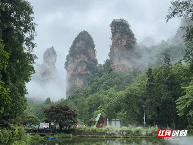 大暑节气烟雨绕，张家界国家森林公园成避暑仙境