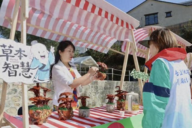 假期新玩法：来延庆感受中医药文化魅力