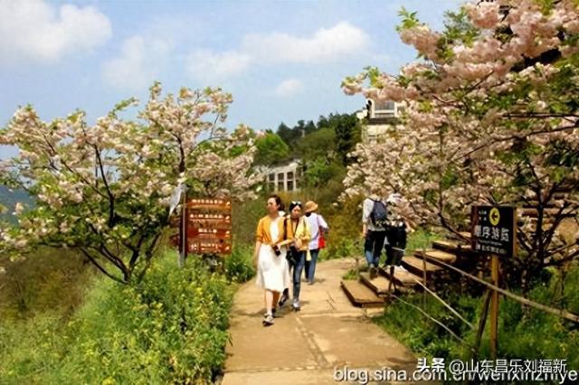 婺源篁岭旅游札记[三]（江西之旅第四十五篇）