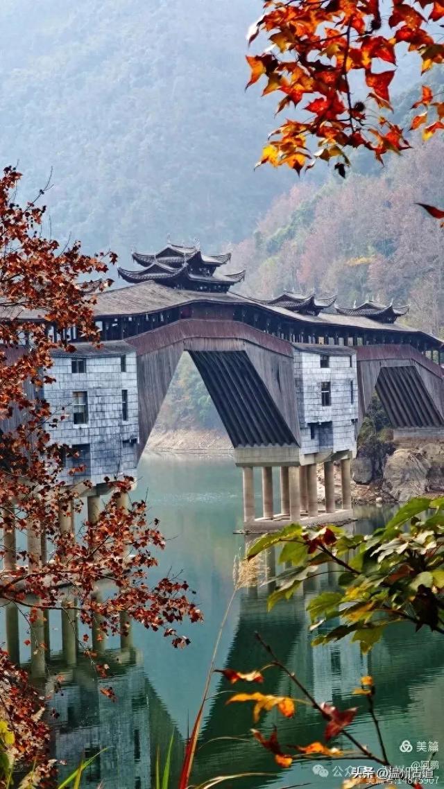 两毁两建,三廊相连,这座全国最长的木拱廊桥,就在温州!