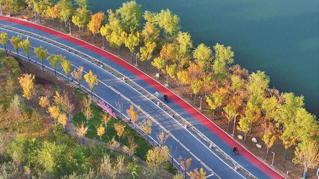 大美银川 秋色无边