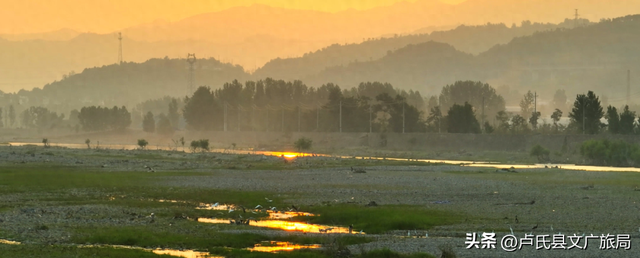 【百鸟翔集】中国最美县域 | 百鸟翔集映林海 生态卢氏邀君赏