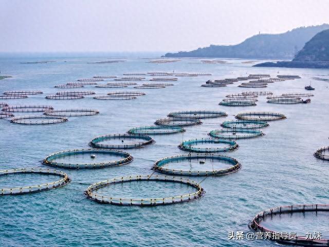 海鲜不能和什么一起吃海鲜不能跟什么同吃（吃海鲜）