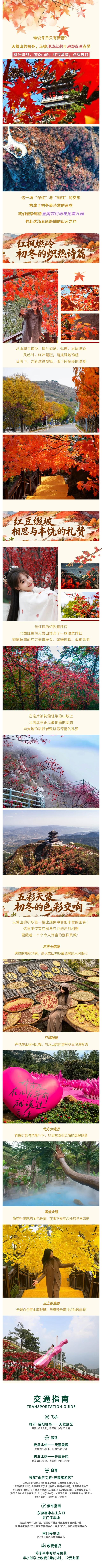 红枫燃岭，红豆缀坡！天蒙初冬最美季，农民免票享五彩交织盛景