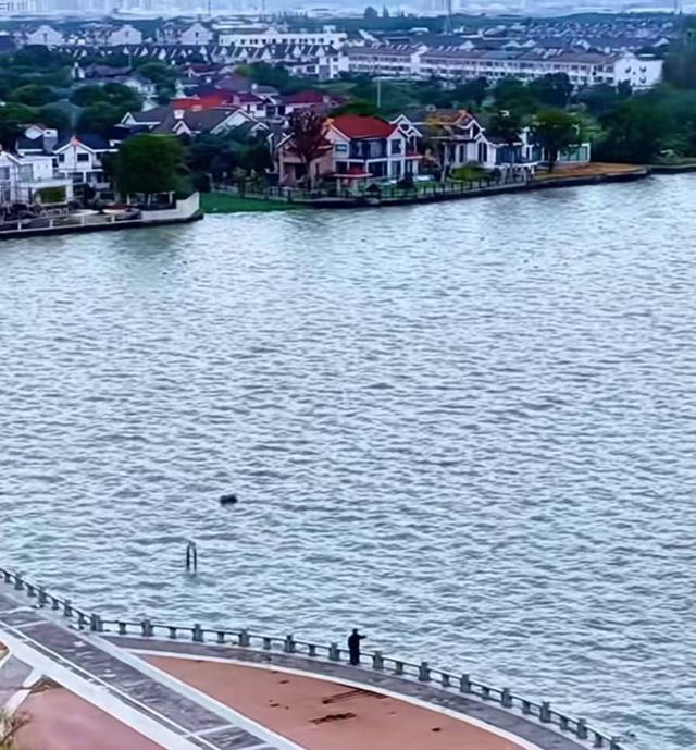 同里湖：把江南的温柔，泡在一汪碧波里